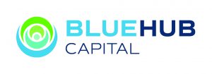 Blue Hub Capital Logo